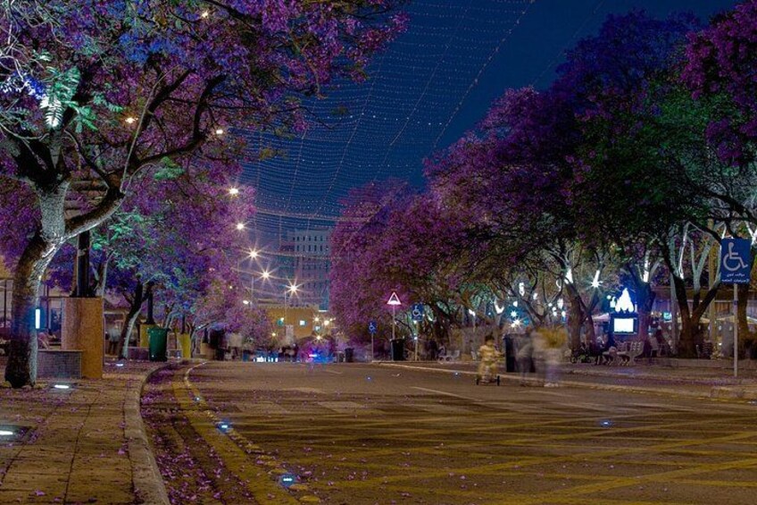 A tree-lined street at night with illuminated street lamps and a pedestrian crossing. 3