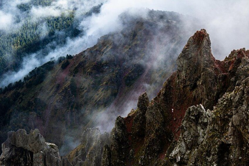 Misty day while climbing La Malinche Mountain. 3