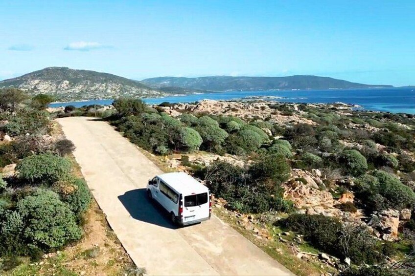 From Stintino: minivan tour of Asinara 1