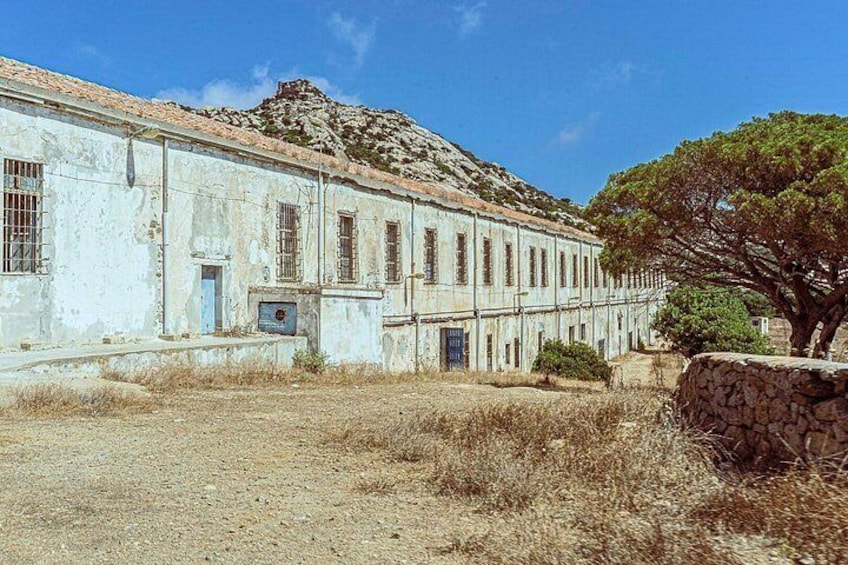 From Stintino: minivan tour of Asinara 3