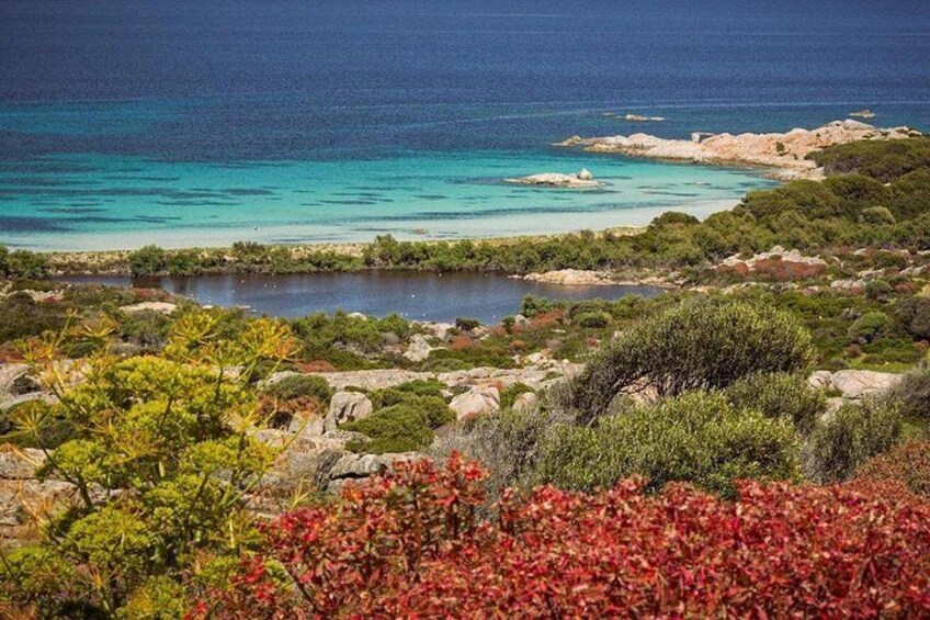 From Stintino: minivan tour of Asinara 5