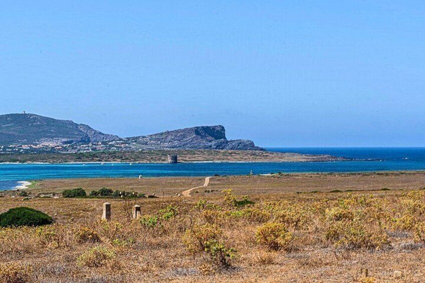 From Stintino: minivan tour of Asinara 2