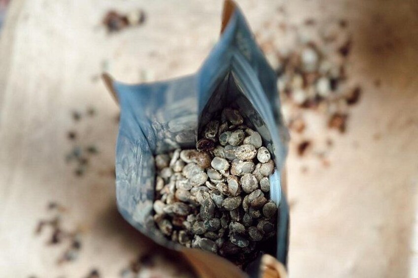 Ancestral Coffee Experience in Boquete 3