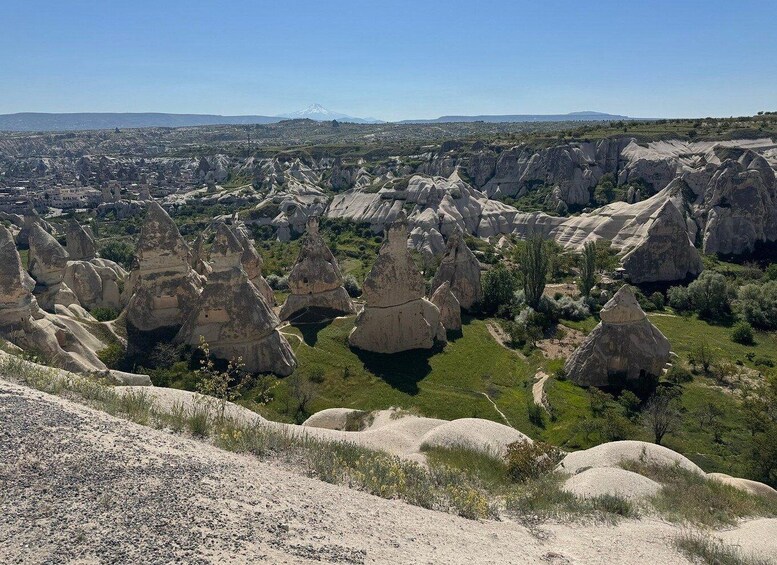 A landscape with prominent hoodoos and a distant mountain range. 2