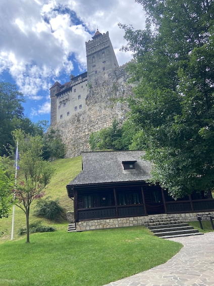 Picture 31 for Activity Small Group Dracula Castle & Bear Sanctuary 5
