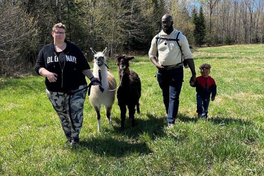Walk & Lunch With Llamas (Outdoor Dining & Animals) 4