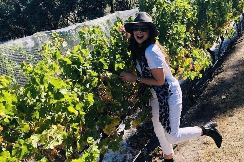 Valleys of Vino Full Day Tour 2