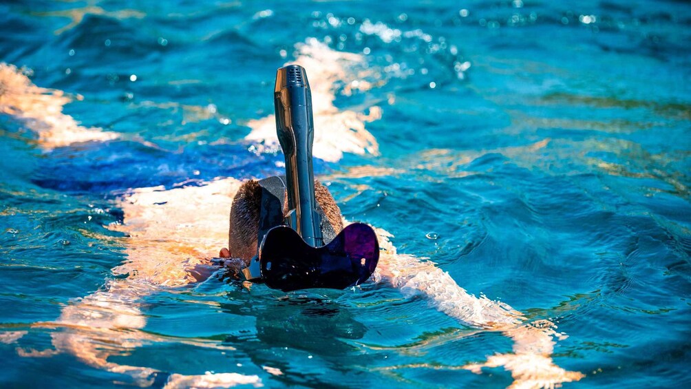Picture 2 for Activity Favignana and Levanzo Island: Swim, Snorkeling and Lunch 5