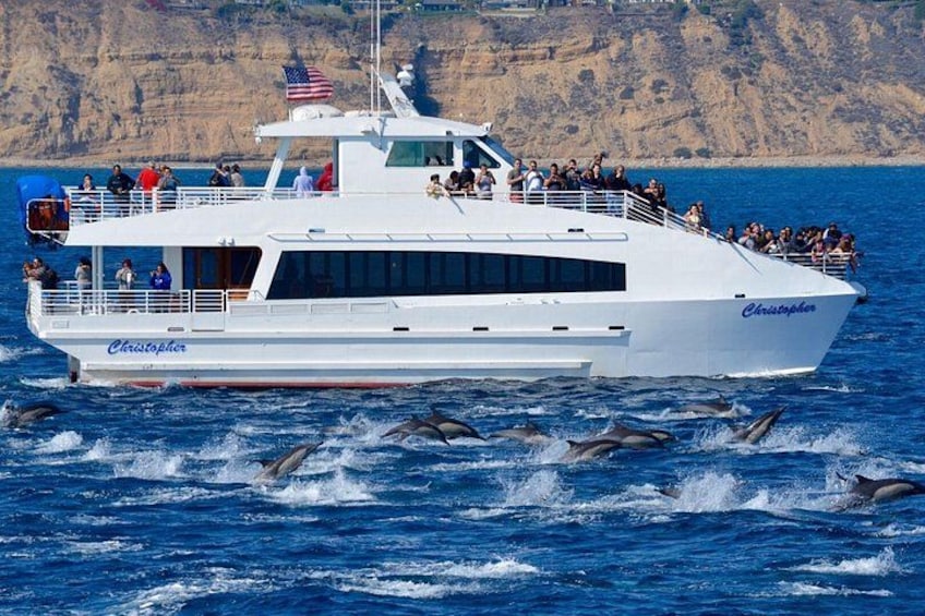 Guided Whale Watching Tour from Long Beach 2