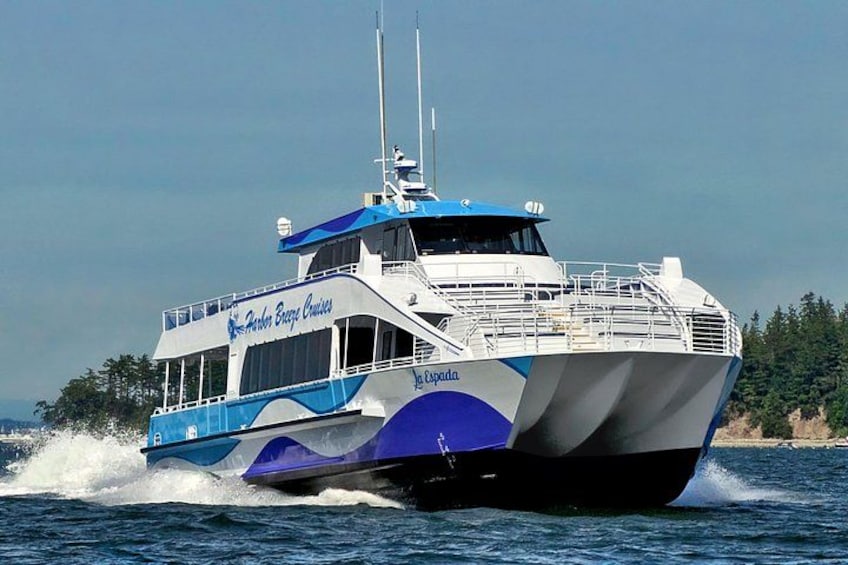 Guided Whale Watching Tour from Long Beach 2