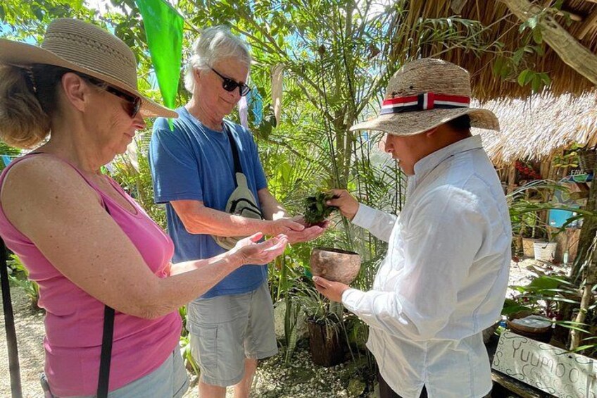 Private Tour Coba Ruin Punta Laguna Monkey Spider Cenote Mayan Village 2