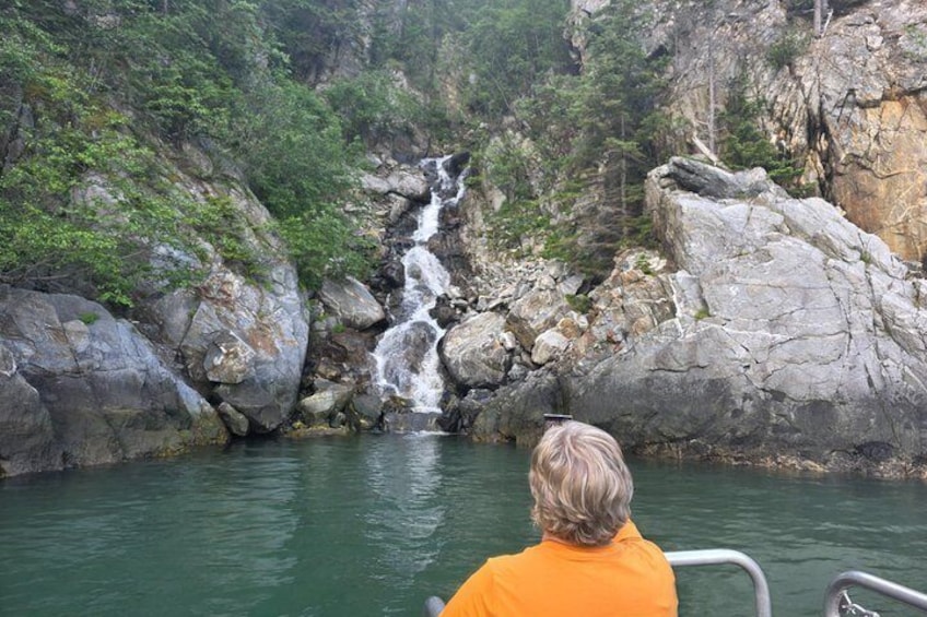 Waterfalls & Wildlife Scenic Cruise - Skagway, Alaska 3