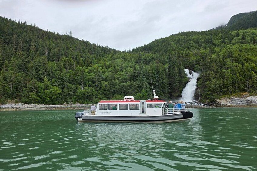 Waterfalls & Wildlife Scenic Cruise - Skagway, Alaska 3
