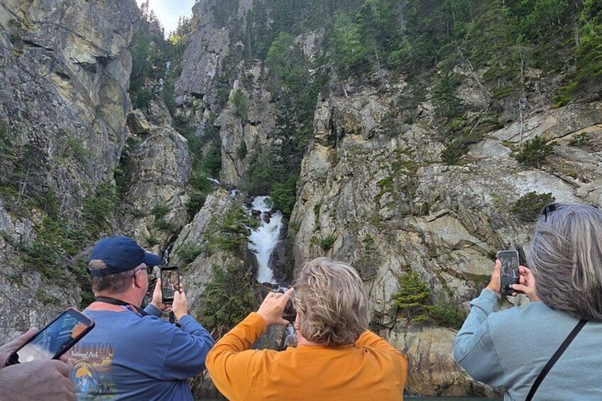 Waterfalls & Wildlife Scenic Cruise - Skagway, Alaska 2