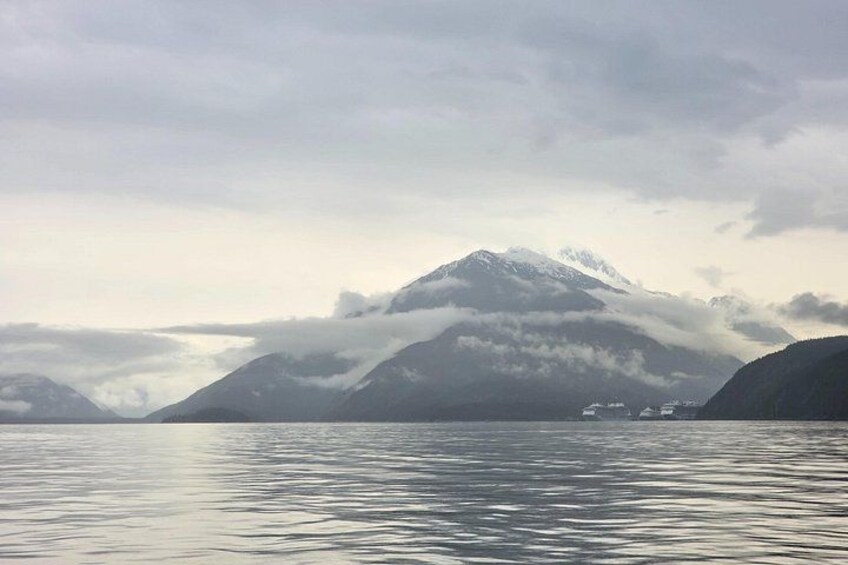 Waterfalls & Wildlife Scenic Cruise - Skagway, Alaska 5