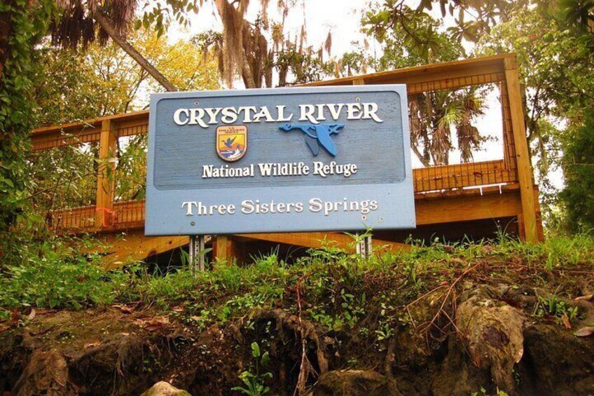 See Crystal River - Mantee & Wildlife Viewing Cruise 5