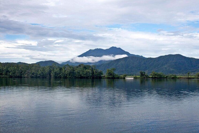 Daintree Waters Tour 3