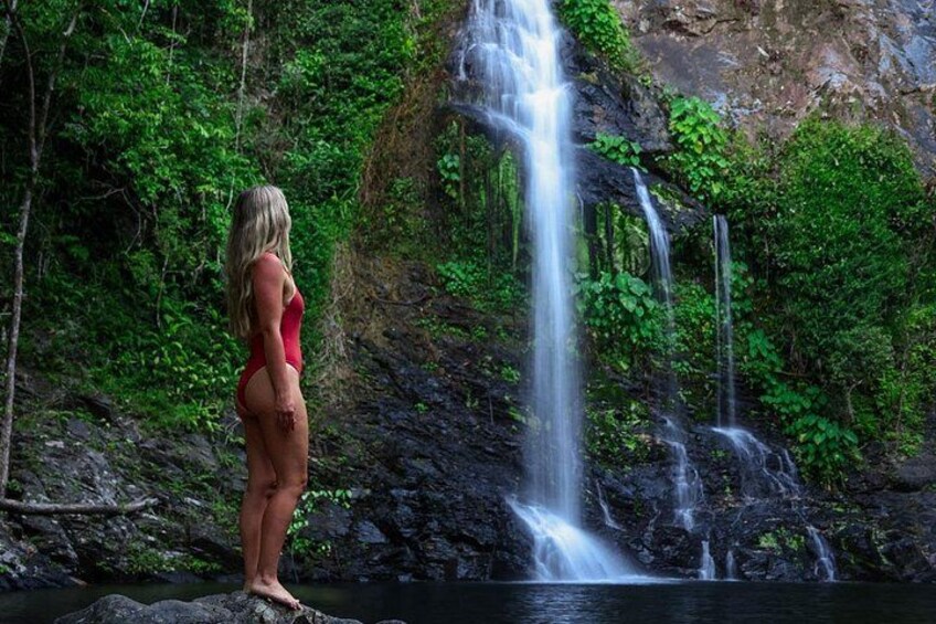 Daintree Waters Tour 1