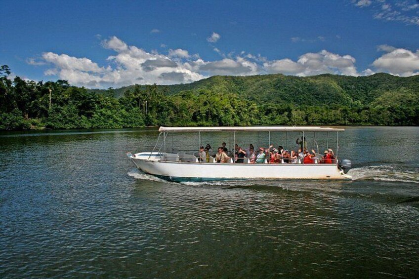 Daintree Waters Tour 2