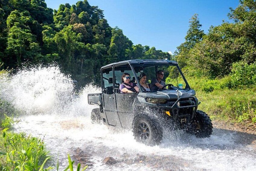 Daintree Waters Tour 2