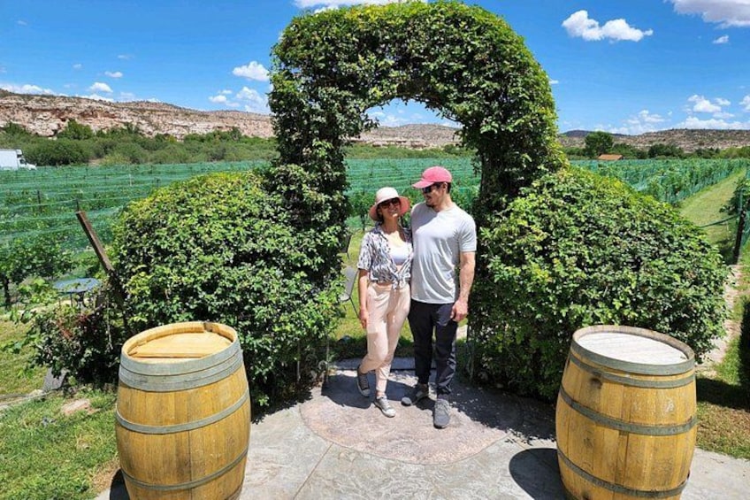 A vineyard with a circular hedge archway, two wooden barrels, and a clear blue sky. 2