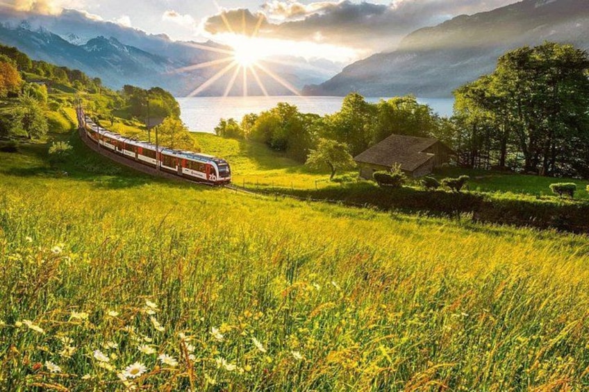 Un tren en un paisaje verde y exuberante con un lago y montañas al fondo. 1