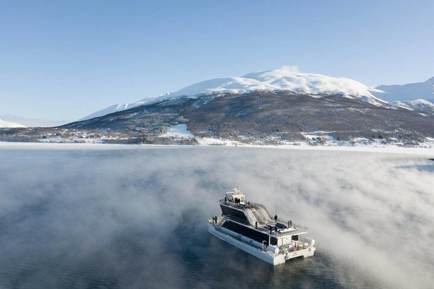 Half Day Arctic Fjord Cruise from Tromso 4