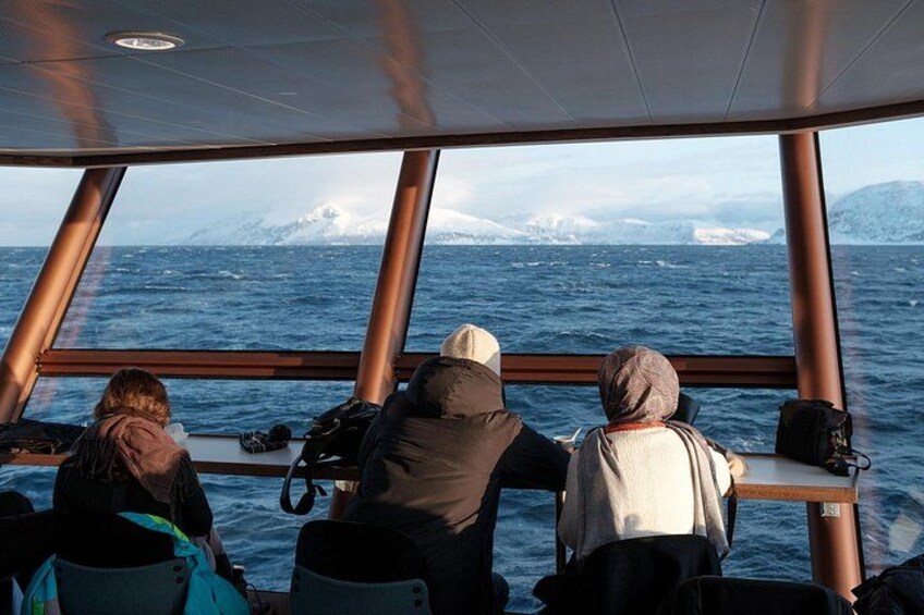 Un gruppo di persone su una barca con vista sull'oceano e sugli iceberg. 5