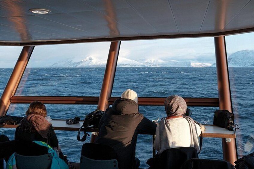 Half Day Arctic Fjord Cruise from Tromso 3