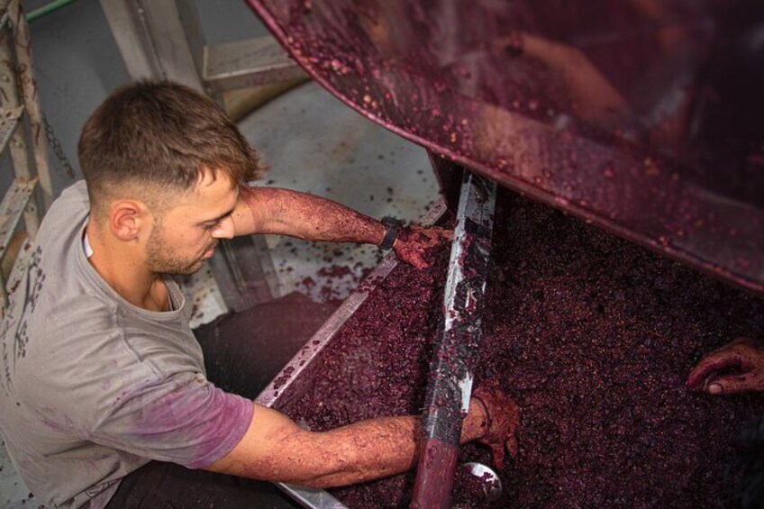 A person working with a large container filled with a granular substance, possibly in an industrial or agricultural setting. 5