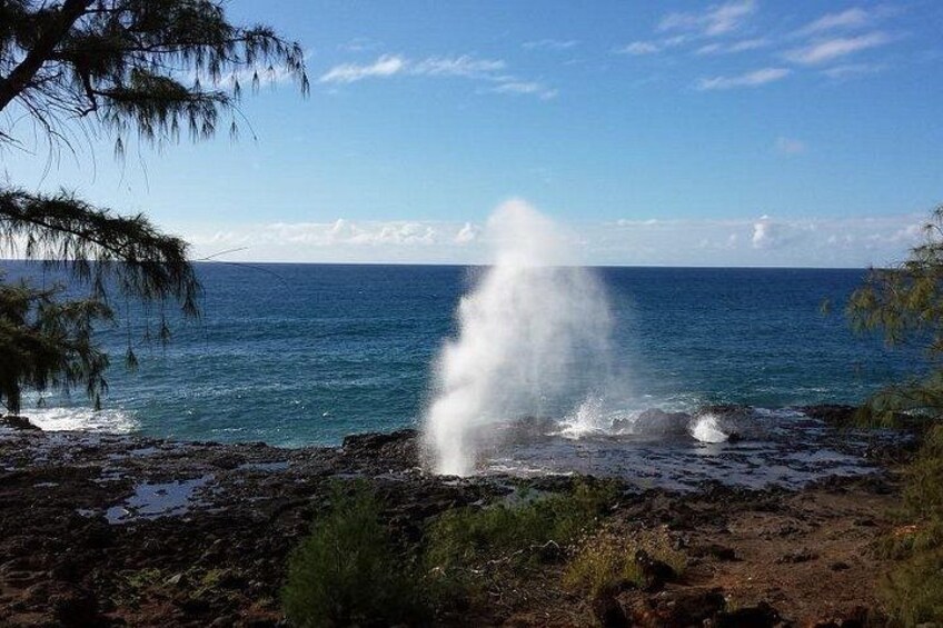 Spouting HOrn 4