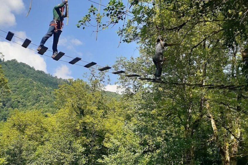 Two people walking on suspended cables between trees in a forested area. 5