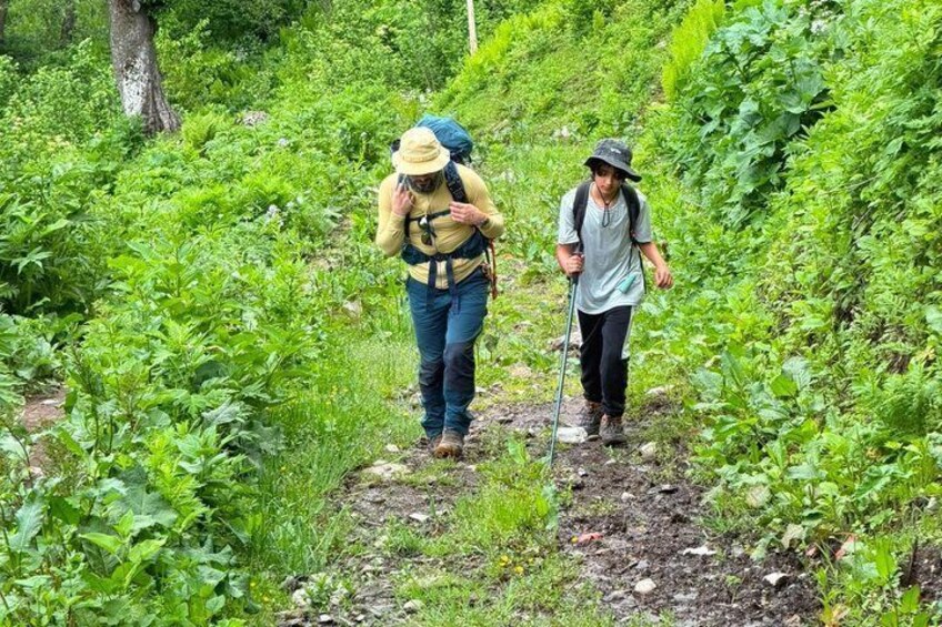 Two hikers on a forest trail surrounded by lush greenery. 4