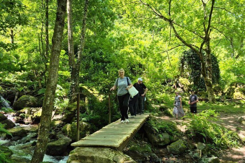 A wooden bridge over a stream in a forested area with people walking on it. 3