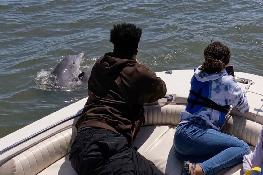 90-Minute Private Dolphin Tour in Hilton Head Island 3