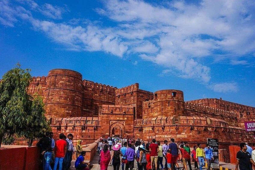 6-Day Private Tour of Indian Wildlife & Palaces from Colombo Port 3