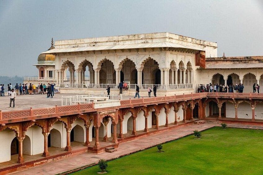 6-Day Private Tour of Indian Wildlife & Palaces from Colombo Port 2