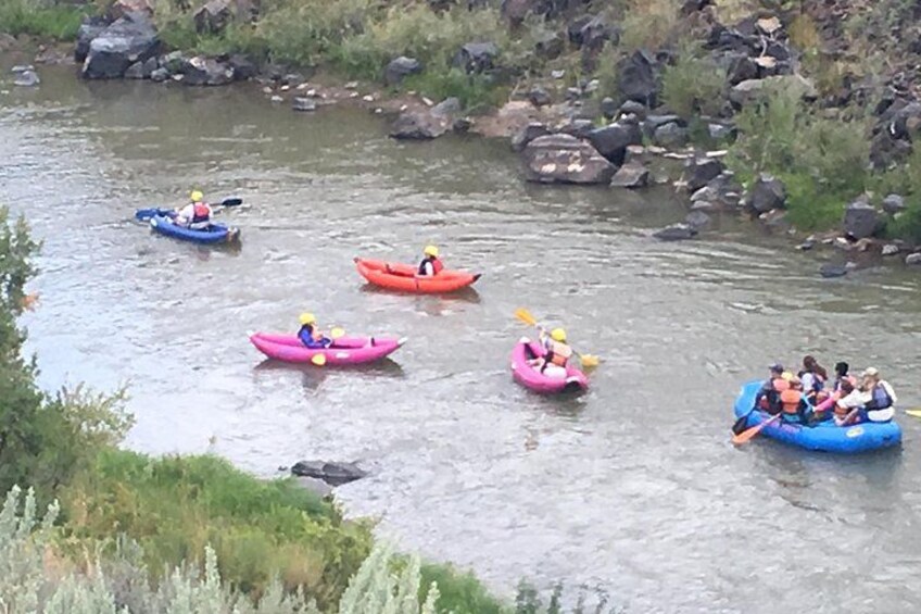 Racecourse Half Day Class 3 Most Popular in New Mexico 2