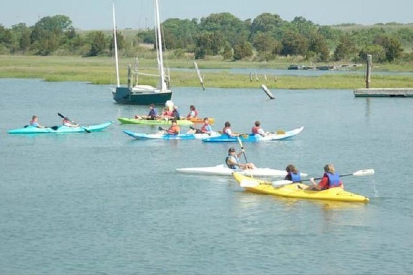 People kayaking on a calm lake surrounded by greenery. 1