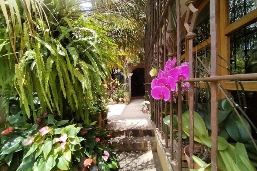 Old Chocolate House 3