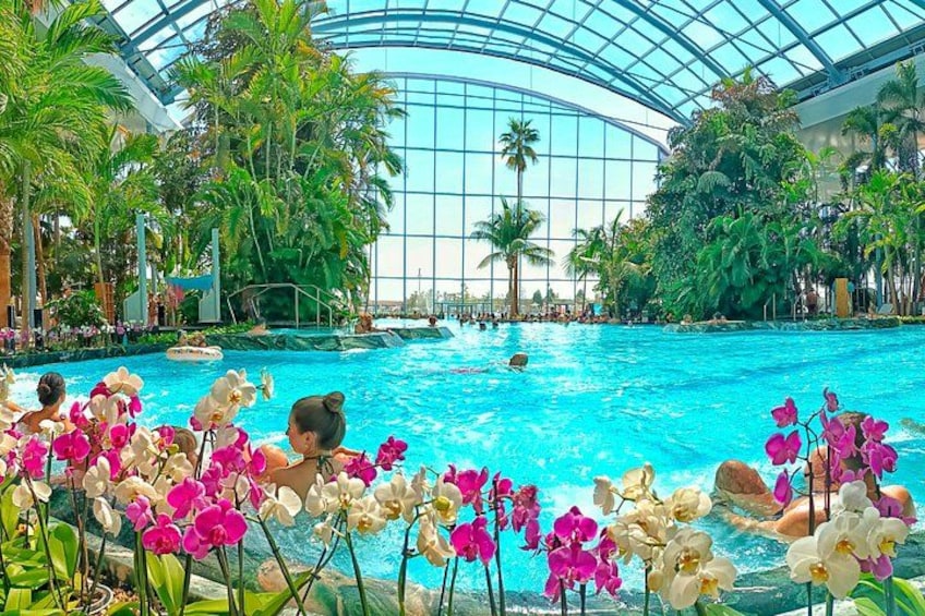 THERME "Take It Easy" Pack: Full Spa Access + Private Transfers 5