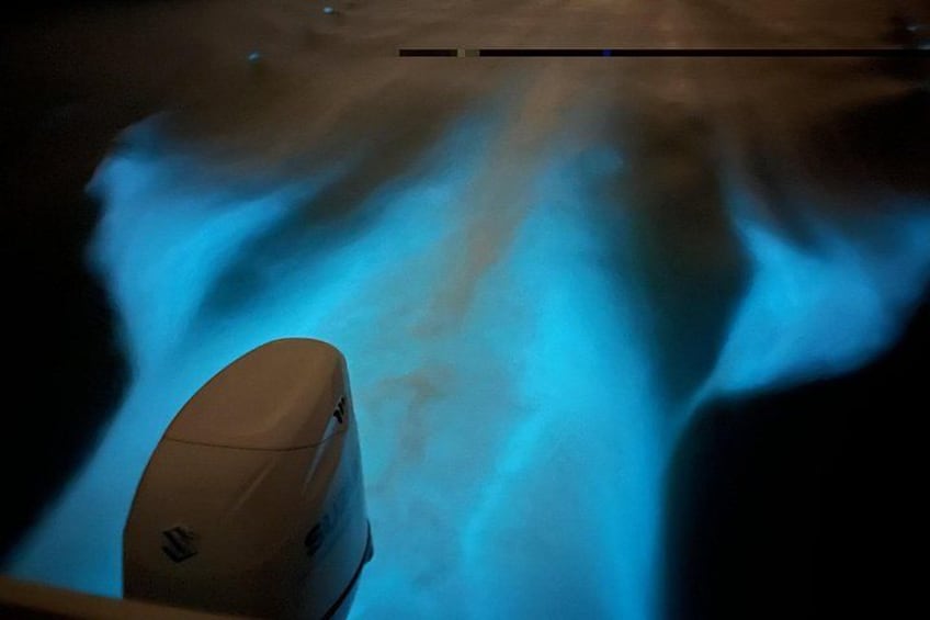 A vehicle with a blue light on the road. 2