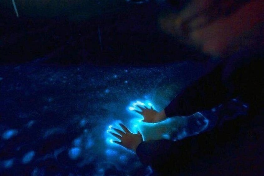 Private Sunset and Bioluminescence Tours in Cocoa Beach 4