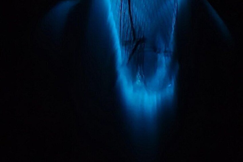 Private Sunset and Bioluminescence Tours in Cocoa Beach 3