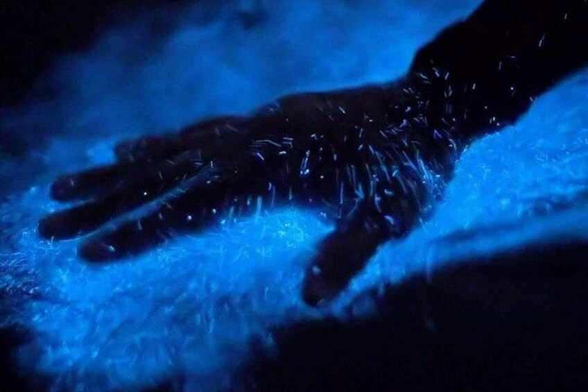 A hand with a blue glow, possibly from a light source, on a surface. 5