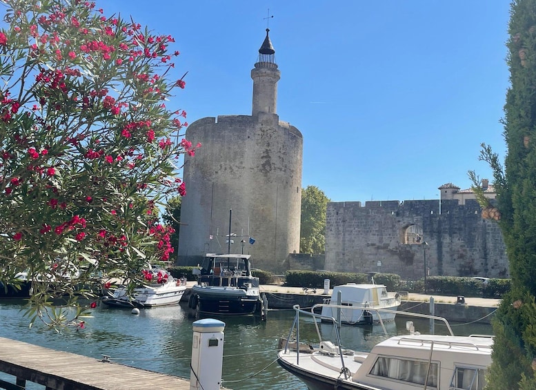 Picture 3 for Activity From Montpellier: Visit of Camargue and Aigues-Mortes 3
