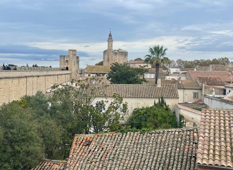 Picture 4 for Activity From Montpellier: Visit of Camargue and Aigues-Mortes 2