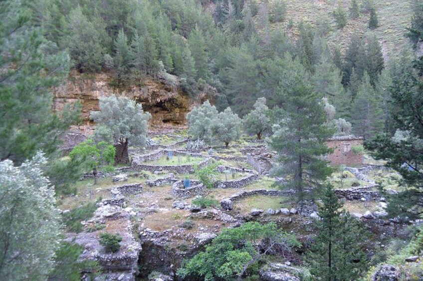 The village of Samaria lies inside the gorge. 2