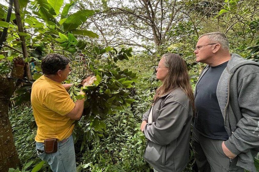 Three people in a forested area, one person holding a plant. 3