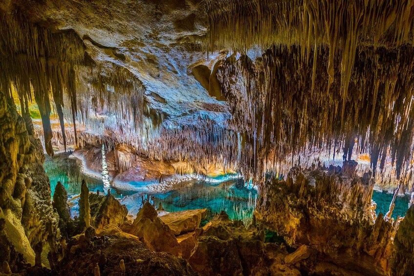 Una cueva con estalactitas y estalagmitas, un charco de agua y formaciones rocosas. 5